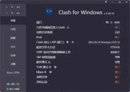 Clash.for.Windows 魔法使用